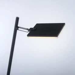 Paul Neuhaus LED-Stehleuchte 1flg schwarz