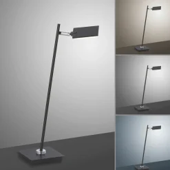 Paul Neuhaus LED-Tischleuchte 1flg schwarz