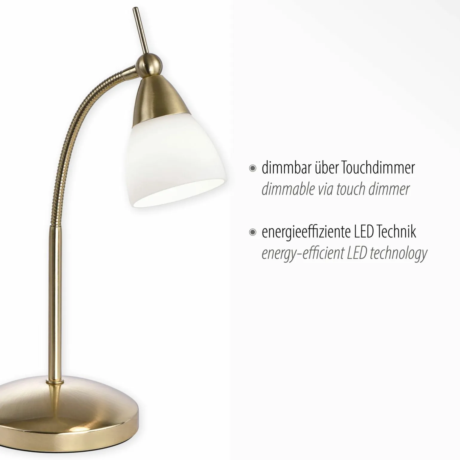 Paul Neuhaus LED-Tischleuchte 1flg goldfarben