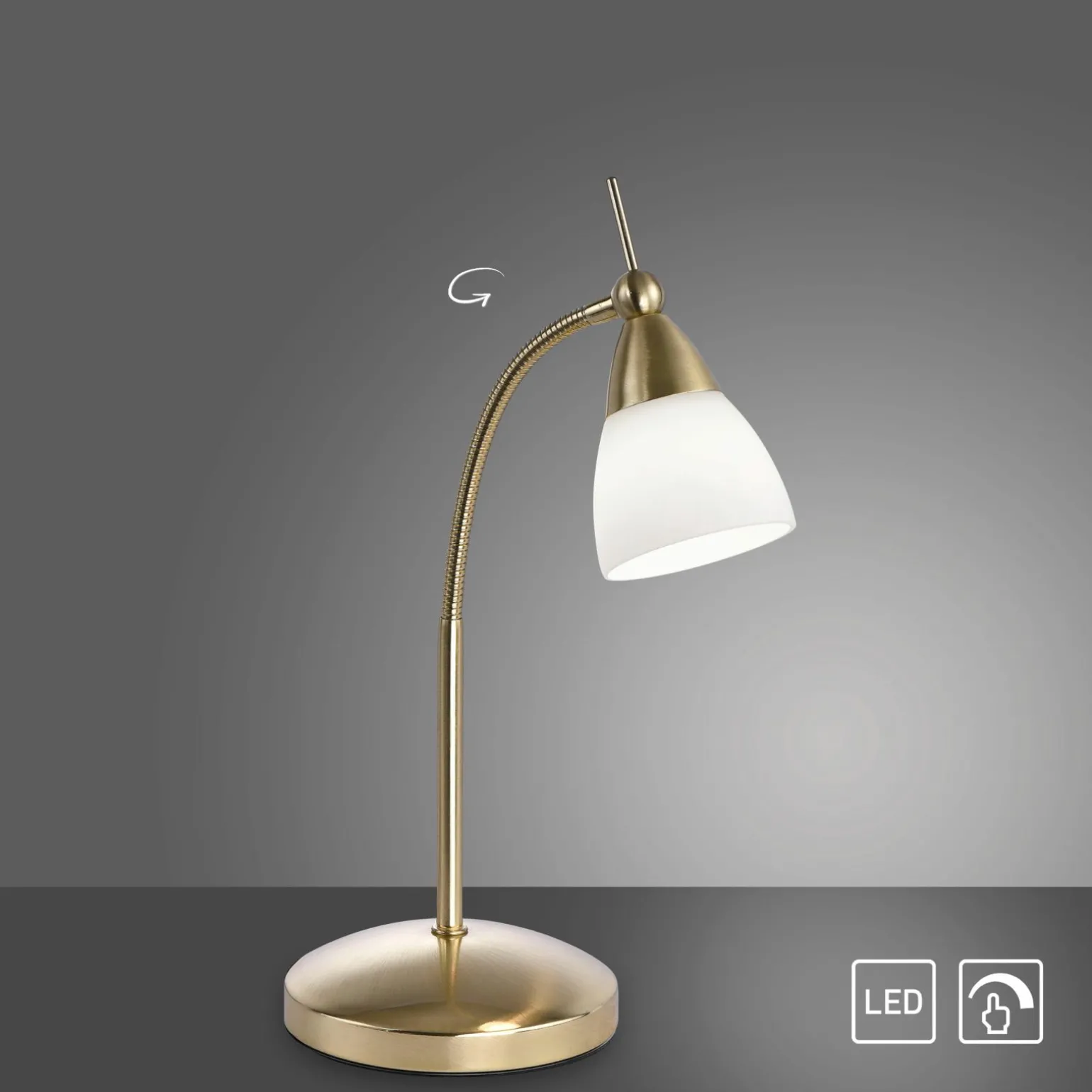 Paul Neuhaus LED-Tischleuchte 1flg goldfarben