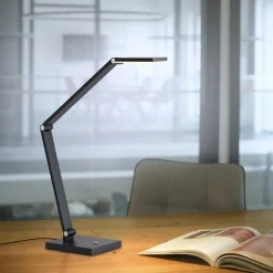 Paul Neuhaus LED-Tischleuchte 1flg grau