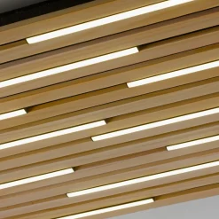 Paul Neuhaus LED-Wand- u.Deckenleuchte 1flg braun