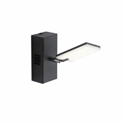 Paul Neuhaus LED-Wandleuchte 1flg schwarz