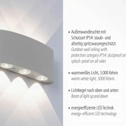 Paul Neuhaus LED-Wandleuchte 6flg silberfarben