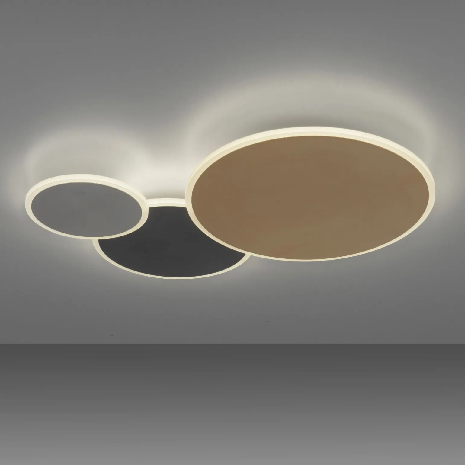 Paul Neuhaus LED-Wand-u. Deckenleuchte 1flg mehrfarbig