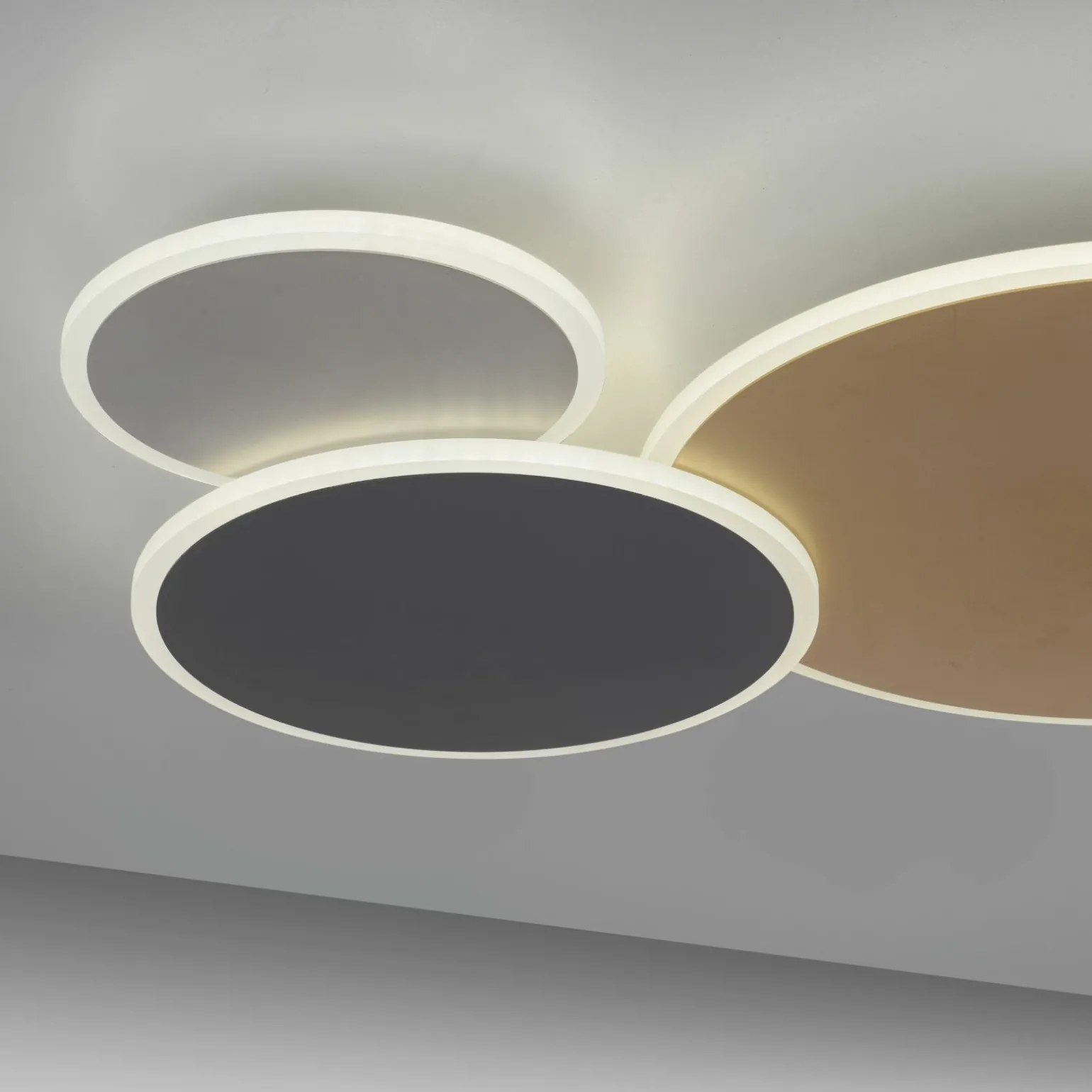 Paul Neuhaus LED-Wand-u. Deckenleuchte 1flg mehrfarbig