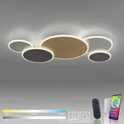 Paul Neuhaus LED-Wand-u. Deckenleuchte 1flg mehrfarbig