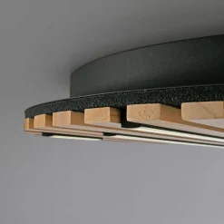 Paul Neuhaus LED-Wand-u. Deckenleuchte 1flg braun