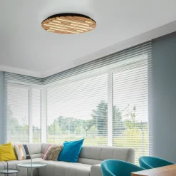 Paul Neuhaus LED-Wand-u. Deckenleuchte 1flg braun