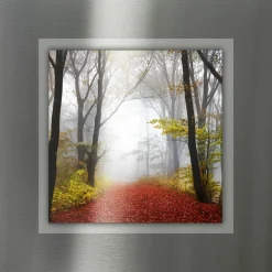 Pro Art Aludibond 50x50cm mehrfarbig