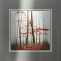 Pro Art Aludibond 50x50cm mehrfarbig