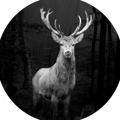 Pro Art Glasbild rund 30cm mehrfarbig