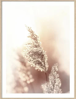 Pro Art Kunstdruck gerahmt 32,5x42,5cm mehrfarbig