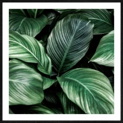 Pro Art Kunstdruck gerahmt 28x28cm mehrfarbig