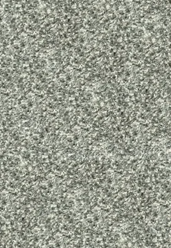 Ragolle Langflorteppich modern weißsilberfarben