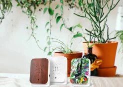 Relaxound Junglebox Classic weiß