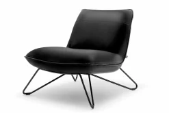 ROLF BENZ Sessel schwarz