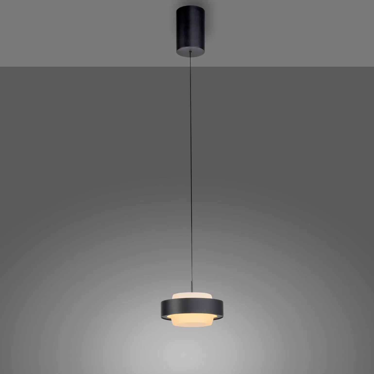 SCHÖNER WOHNEN LED-Pendelleuchte 1flg schwarz