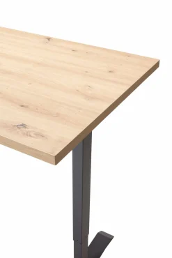 Schreibtisch elektronisch braun