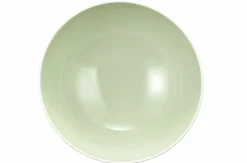 Seltmann Schüssel 21,5cm grün