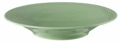 Seltmann Suppenteller rund 22,5cm grün