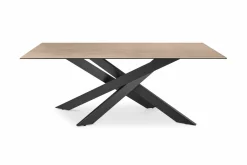 set one by Musterring Esstisch beige