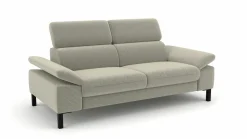 2,5-Sitzer-Sofa grau