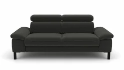 2,5-Sitzer-Sofa grau