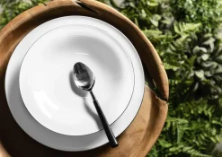 Tafelgeschirr 12tlg.