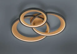 Trio Leuchten LED - Deckenleuchte 1flg schwarz