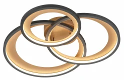 Trio Leuchten LED - Deckenleuchte 1flg schwarz