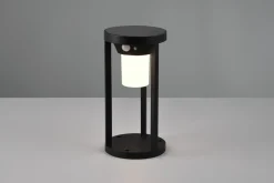 Trio Leuchten LED - Solar-Außen-Wegeleuchte schwarz