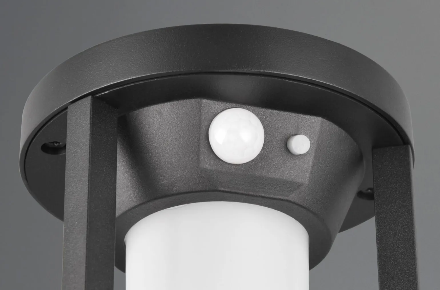 Trio Leuchten LED - Solar-Außen-Wegeleuchte schwarz