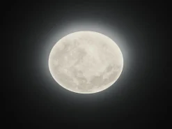 Trio Leuchten LED-Deckenleuchte 1 flg weiß