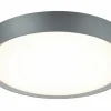 Trio Leuchten LED-Deckenleuchte 1flg graumehrfarbig