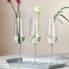 Villeroy & Boch 4er Sektglas transparent