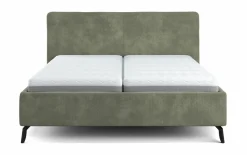 vito Polsterbett graugrün