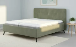 vito Polsterbett graugrün
