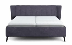 vito Polsterbett grauviolett