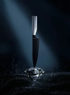 WMF Fleischmesser 20cm schwarzsilberfarben