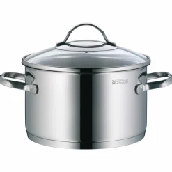 WMF Kochtopf mit Deckel 20cm silberfarben
