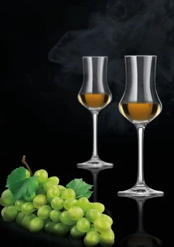 Zwiesel Grappaglas 95ml transparent