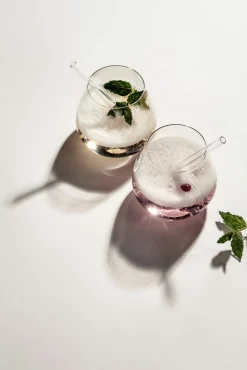 Zwiesel Trinkhalm transparent