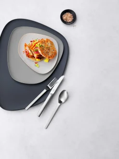 ZWILLING Besteckset 68tlg. silberfarben